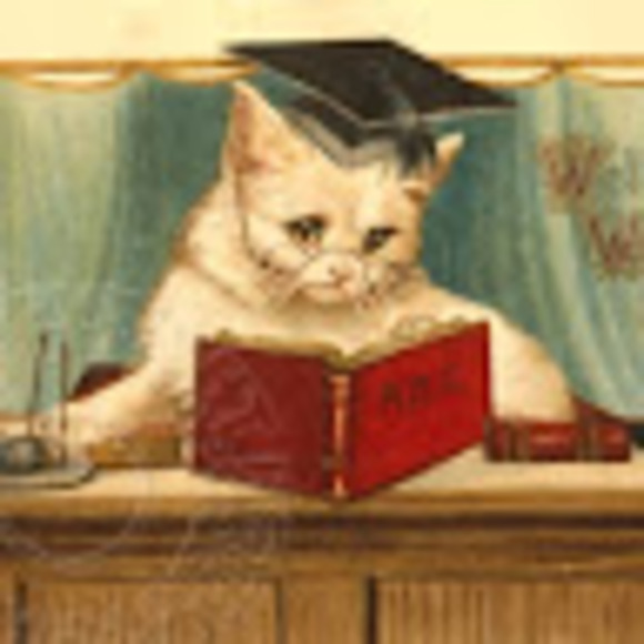 bookcat501
